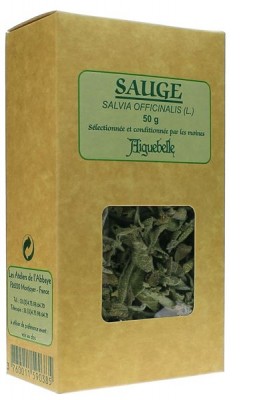 Sauge (Salvia officinalis)