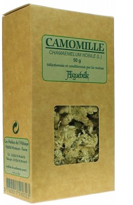 Camomille romaine    (Chamaemelum nobile)