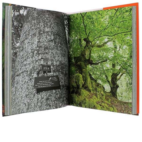 La Vie secrète des arbres Édition illustrée - Abbaye du Barroux