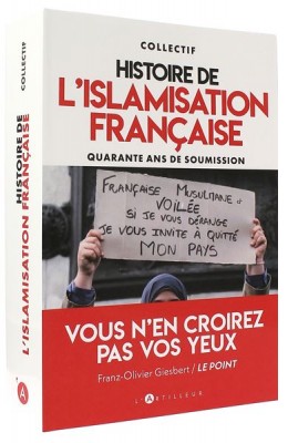 Histoire de l’islamisation française