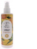 Spray désodorisant —  Orange, Citron